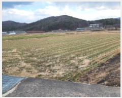  2025Ÿ��11341  ����