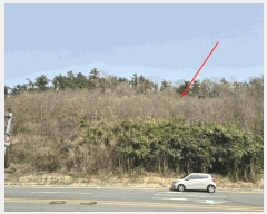  2025Ÿ��11458 ��� ���� �οյ� ��18-6       ����(�Ӿ�)���