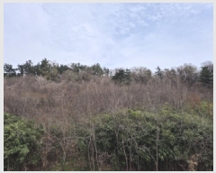  2025Ÿ��11458 ��� ���� �οյ� ��18-6       ����(�Ӿ�)���