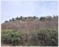  2025Ÿ��11458 ��� ���� �οյ� ��18-6       ����(�Ӿ�)���