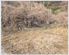  2025Ÿ��11458 ��� �ϱ� ��ȵ� 72       ����(����)���