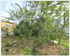  2025Ÿ��11560  �������