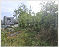  2025Ÿ��11560  �������