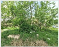  2025Ÿ��11560  �������