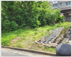  2025Ÿ��11560  �������