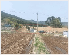  2025Ÿ��11563 ��� ���ֱ� ���̸� ������ 1286-6      ����(��)���