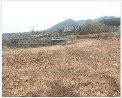  2025Ÿ��11563 ��� ���ֱ� ���̸� ������ 1286-6      ����(��)���