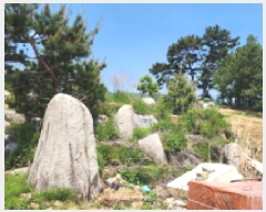  2025Ÿ��11563 ��� ���ֱ� ���̸� ������ 1286-6      ����(��)���