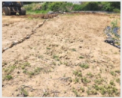  2025Ÿ��11563 ��� ���ֱ� ���̸� ������ 1286-6      ����(��)���