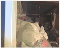  2025Ÿ��11662  �ٸ��ü����