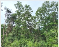  2025Ÿ��11764  �Ӿ߰��