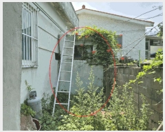  2025Ÿ��12040  ���ð��