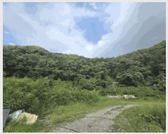  2025Ÿ��12115  �Ӿ߰��