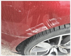  2025Ÿ��13156  �������