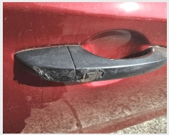  2025Ÿ��13156  �������