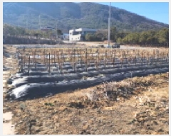  2025Ÿ770  ֱ ε  343-6      ()