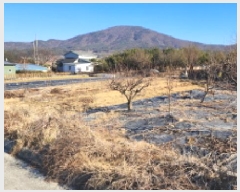  2025Ÿ770  ֱ ε  343-6      ()