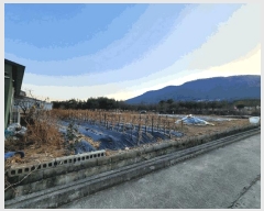  2025Ÿ770  ֱ ε  343-6      ()