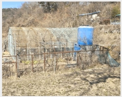  2025Ÿ885 泲   714       ()