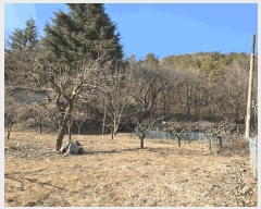  2025Ÿ885 泲   714       ()