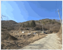  2025Ÿ885 泲   714       ()