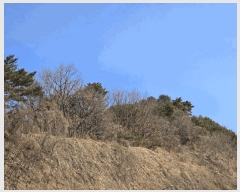  2025Ÿ885 泲   714       ()