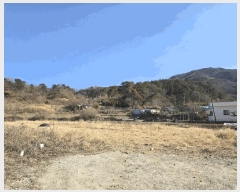  2025Ÿ885 泲   714       ()