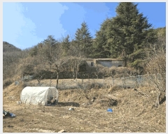  2025Ÿ885 泲   714       ()