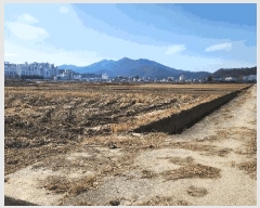  2025Ÿ��929 ��� ���ֱ� �¾��� ���� 719-20      ����(��)���