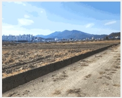  2025Ÿ��929 ��� ���ֱ� �¾��� ���� 719-20      ����(��)���