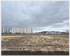  2025Ÿ��929 ��� ���ֱ� �¾��� ���� 719-20      ����(��)���