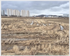  2025Ÿ��929 ��� ���ֱ� �¾��� ���� 719-20      ����(��)���