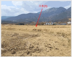  2025Ÿ948 泲  ȣ 857 ѳƮ 103 8801ȣ    Ʈ