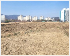  2025Ÿ948 泲  ȣ 857 ѳƮ 103 8801ȣ    Ʈ