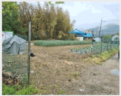  2025Ÿ��1018  �������