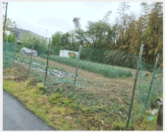  2025Ÿ��1018  �������