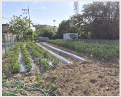  2025Ÿ��1018  �������