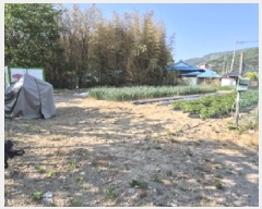  2025Ÿ��1018  �������