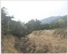  2025Ÿ��1071 ��� ���ֱ� �ε��� ��ȭ�� ��162-7      ����(�Ӿ�)���