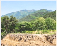  2025Ÿ��1071 ��� ���ֱ� �ε��� ��ȭ�� ��162-7      ����(�Ӿ�)���