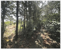  2025Ÿ1124  ֱ  ϸ 25-7      ()