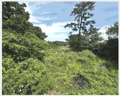  2025Ÿ1124  ֱ  ϸ 25-7      ()