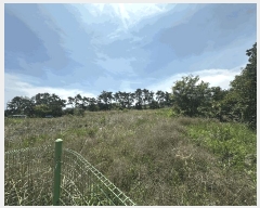  2025Ÿ1124  ֱ  ϸ 25-7      ()