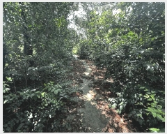  2025Ÿ1124  ֱ  ϸ 25-7      ()