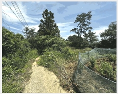  2025Ÿ1124  ֱ  ϸ 25-7      ()