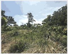  2025Ÿ1124  ֱ  ϸ 25-7      ()