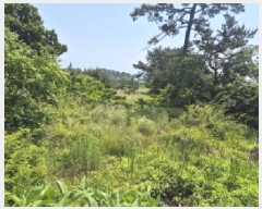  2025Ÿ1124  ֱ  ϸ 25-7      ()