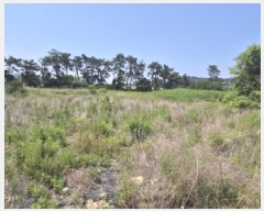  2025Ÿ1124  ֱ  ϸ 25-7      ()