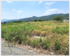  2025Ÿ1126 泲  Ϻϸ 뿬 412-4      ()