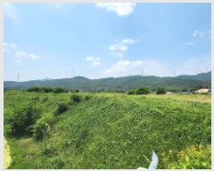  2025Ÿ1126 泲  Ϻϸ 뿬 412-4      ()